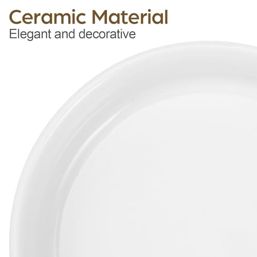 Bandeja para plantas de cerámica de mesa soporte de madera brasileña 4