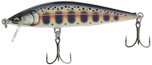 ���p��(Rapala) �J�E���g�_�E���G���[�g9.5cm CDE95-GDYM ���}��
