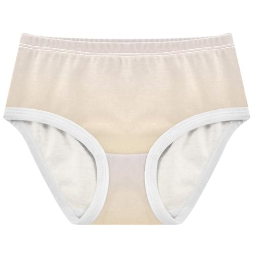 Joisal Magnolia Peach Gradient Ombre Little Girl Panties Toddlers Underwear Floral Cotton Stylish Briefs Girls Undies 2t