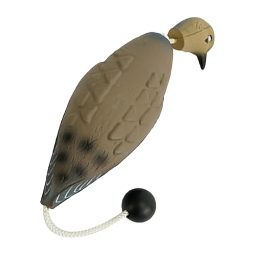 Ct[^u_bNop[ - c̏ԁA\tgoEXt[ggC|F̖̃e[}AvCJASȃSGbWẢOCfBO̊y݁AyʃoXGnT[