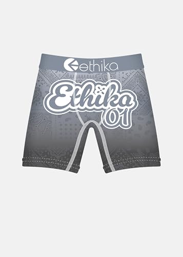 Ethika Toddler's Staple Boxer Brief Comfortable with Stretch Fit - Ice Banda (BWH, 4T)