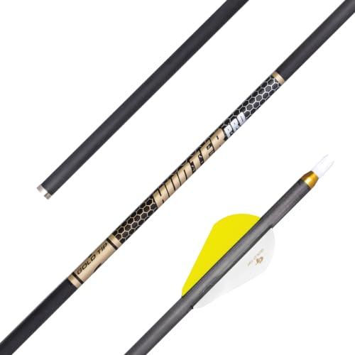 Gold Tip Hunter Pro Arrow with Raptor Vane (Pack of 6), Black, 300