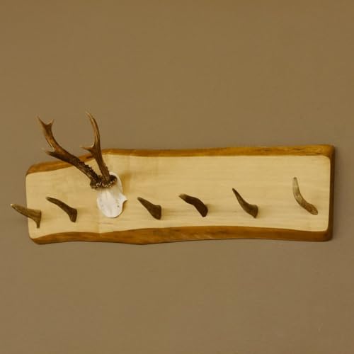 GTK - Geweihe & Trophäen KRUMHOLZ Geweih Garderobe mit 6 Haken aus Hirschspitzen auf Holzbrett Rehgeweih Wandgarderobe Unikat 27.8.99