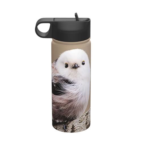 @r V}GiK 킢   530ml ^u[ XeX{g R[q[Jbv EH[^[{g Xg[t e ^fM ۉۗ q ʋ ʊw oR s X|[c 킢  v[g