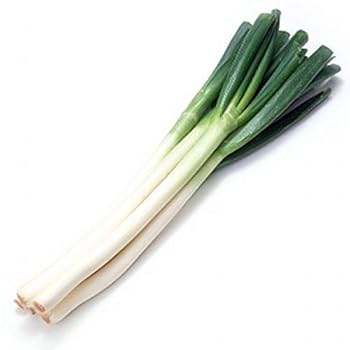 鳥取県産　白ネギ「夏若葱」20kg　長ネギ Amazon.co.jp: 鳥取県産 白ねぎ 1箱3kg : 食品・飲料・お酒