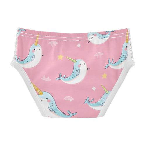 Wusikd Cute Narwhals Boys' Underwear Cotton Rainbow Horn Boys Briefs Soft Toddler Underwear 2T2