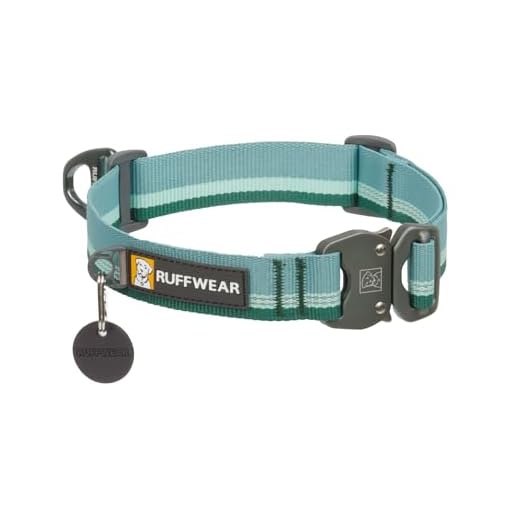 Ruffwear, Top Rope Dog Collar, Premium Secure Stainless Steel Talon Buckle, Reflective Padded Adjustable Heavy Duty Nylon with Silent ID Attachment, Enhanced Protection, River Rock Green, 14"-20"