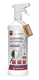 hauszauber - Schimmelentferner [EXTRA STARK] 500 ml - Anti-Schimmelspray mit Aktivchlor für Wände, Decken, Silikonfugen - Stoppt Schimmel u. Stockflecken