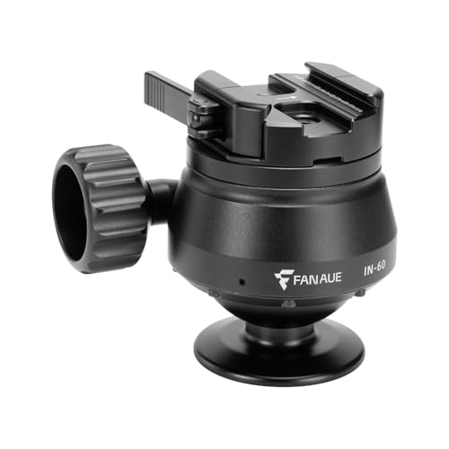 FANAUE IN-60T Ball Head