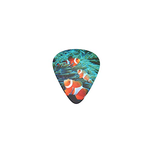 イソギンチャクとクマノミ デザインギターピック guitar pick ティアドロップ型 エレキギター/アコースティックギター/クラシックギター/ベース等の練習に最適な12枚セット