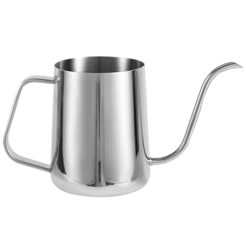 Small Plant Watering Can, 20oz Mini Stainless Steel Watering Pot with Long Curved Spout for House Plants Bonsai Succulents Flowers Garden Accessories (Steel Color)