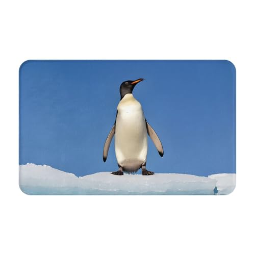 Cute Penguin Print Living Room Bathroom Kitchen Anti Slip and Absorbent Carpet, Indoor Entrance Door Muddy Floor Mat, Ultra Soft Washable Carpet 21x31.5 Inches