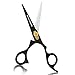 BEAUTICONE Hair Cutting Scissors, Professional 6.5