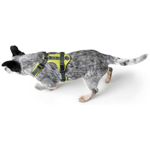 HUNTER Geschirr Maldon 53-71/M