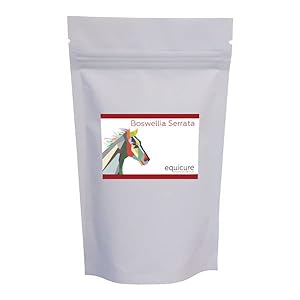 Equicure Boswellia Serrata Powder For Horse/Pony (1KG Refill)