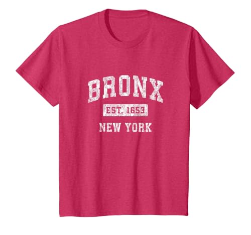 Bronx New York NY Vintage Established Sports Design T-Shirt, Youth, Red Heather, 3T