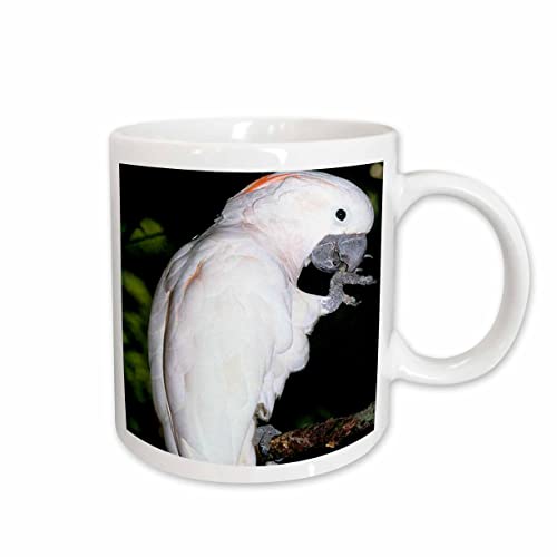 3dRose Moluccan Cockatoo 11oz Mug