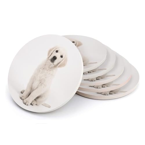 Sous-verre ronds en céramique chiot labrador blanc déco table - 2