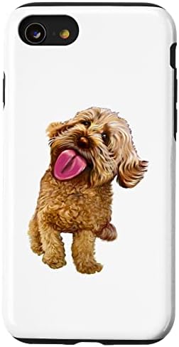 cavapoo accessories