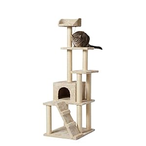 Amazon Basics Cat Tree Extra Large | Indoor/Outdoor Cat Furniture | Optimal Surface To Sharpen Claws For Cats And Kittens | With Scratching Posts | 61 L X 48 W X 155 H Cm | 18 Kg