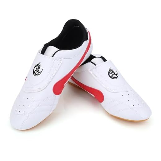 Regun Zapatos de Taekwondo, Zapatos de Gimnasia de Boxeo Unisex, Zapatos Deportivos Ligeros, Kung Fu Tai Chi, para Niños Adultos (32)