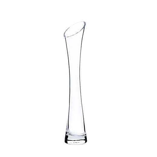 Vaso da fiori piccolo da 25 cm, alto e sottile, in vetro trasparente, a stelo singolo, per decorazione domestica, soggiorno, ufficio e centrotavola