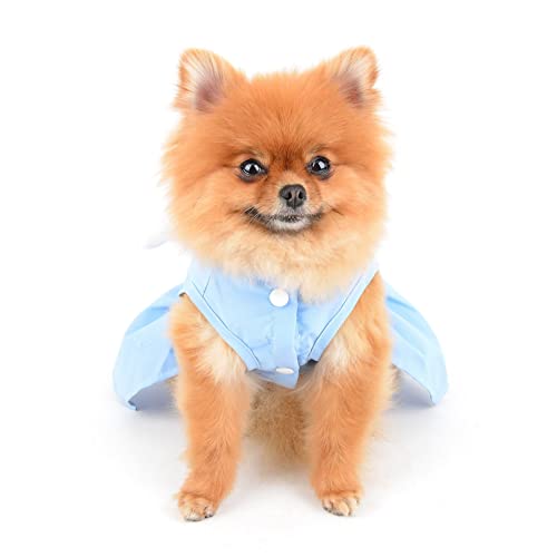 SMALLLEE_LUCKY_STORE Angel Wing Girls Dog Harness Dress and Leash Set Cat Sundress with D-ring Puppy Skirt Spring Summer Clothes for Small Pets Yorkie Chihuahua Blue,M - Image 4