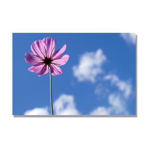 Impression sur toile floral nature - Tableau fleurs decoration murale salon 50x75cm