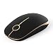 Jelly Comb 2.4G Slim Wireless Mouse with Nano Receiver MS001 (Black and Gold)