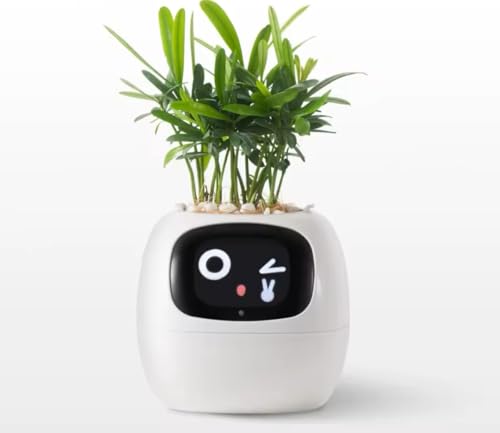 BUYTOWORLD - Maceta inteligente con IA, pantalla de visualización de temperatura, animaciones expresivas, color blanco