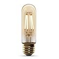 Feit Electric Vintage Exposed Filament Amber Glass LED T10 with E26 Base Light Bulb, 40W Equiv, 300 Lumen, 2100K Soft White, Dimmable, 15,000-Hour Lifetime, Energy-Saving Decorative Bulb, T10/VG/LED