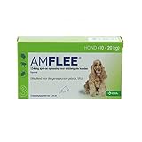 Amflee