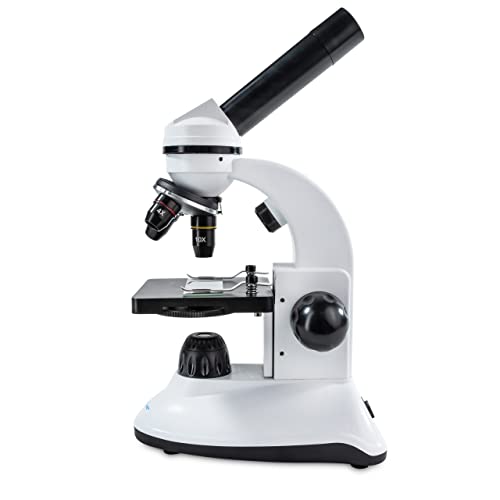 Microscope biologique MK2 pour explorer la nature en famille avec le mode 2-en-1