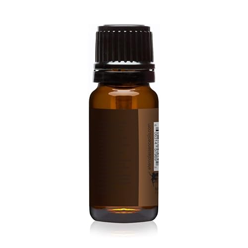 Image of Chocolate Fondue - - Premium Grade Fragrance Oils - 10ml - Scented Oil