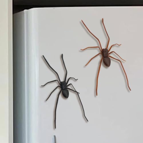 Imanes de araña para decorar sin dañar paredes ni muebles 4