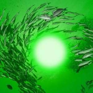 LED Submersible Fishing Light, 45W, Green, photo 3 of 7