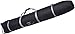AmazonBasics Double Padded Ski Bag