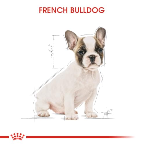 Royal Canin French Bulldog 30 Junior 3 kg, 1er Pack (1 x 3 kg)