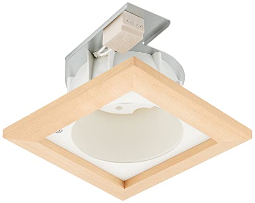 ���Ń��C�e�b�N LED���j�b�g�t���b�g�` ���C��SB�`�a���_�E�����C�g 60W ������125 �����v�ʔ�