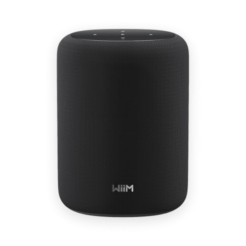 WiiM Sound Lite, Enceinte Intelligente Multi-pièce sans Fil, Noir