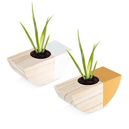 Navaris Macetas de pared decorativas - Set de 2x macetero de madera colgante para plantas pequeñas suculentas cactus - 2x Maceta diseño medio luna