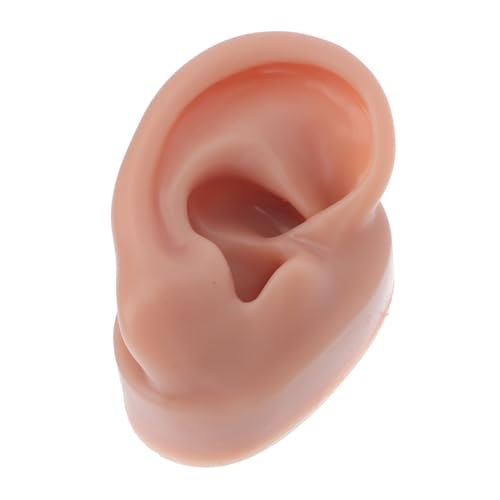 TOVINANNA Silicone Ear Model for Piercing Training Human Ear Display for Studs Practice