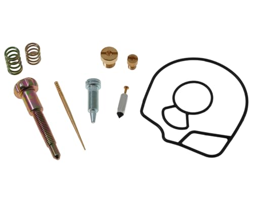 2EXTREME Dellorto PHVA 17,5mm Vergaser Reparatur Set kompatibel für Piaggio NRG, TPH, ZIP, Vespa ET2 50