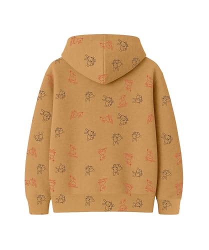 Image of Kids Hoodie Sweatshirt - Soft Cotton Hooded Winter Wear for Boys & Girls | Warm Stylish Pullover| Casual Kids Clothing for 2-16 Years - Comfortable Trendy Winter Hoodie for Children