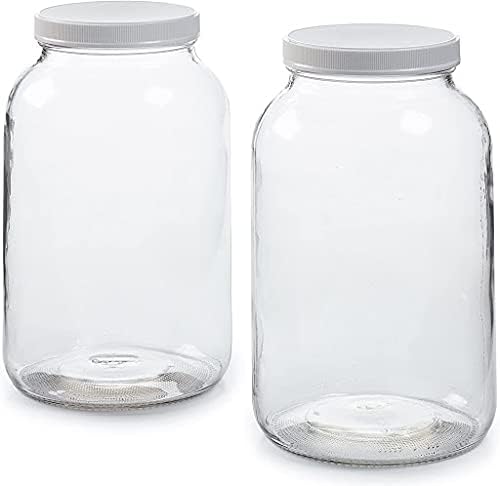 Gallon Jar, 2PK