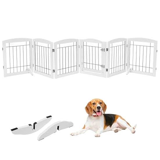 パラタイプ】パルナシウス・アッコ・モリタイ（青海省、1オス）