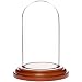 Plymor Brand 1.85" x 3.5" Mini Glass Display Dome Cloche (Walnut MDF Base)