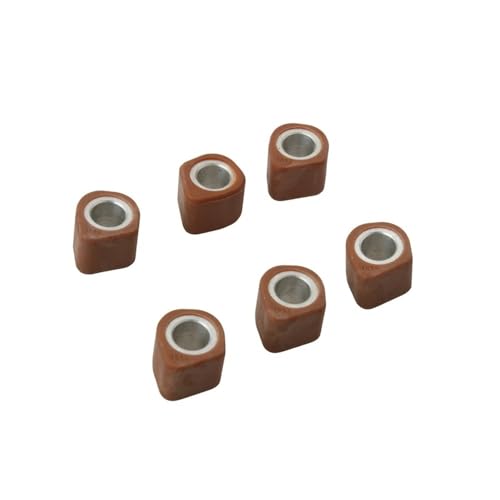 Galets coulissants 16x13mm de haute précision pour variateur mécanique TN X 50