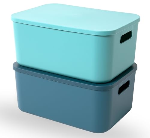 HapiLeap Plastic Storage Bins with Lid, Stackable Box for Organization