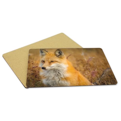Sets de table renard anti rayure dessous liège - 5
